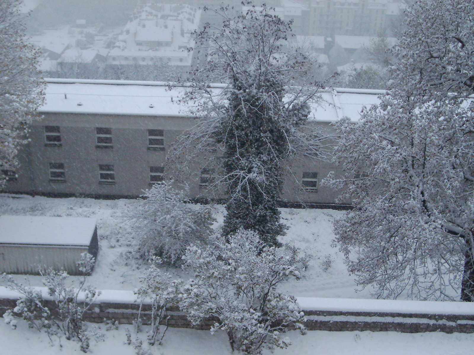 Fort de la Bastille dominant Grenoble